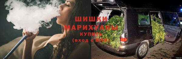 трава Инсар