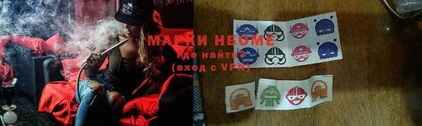 спайс Каменка