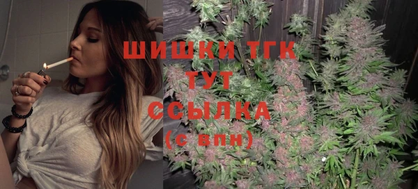 спайс Каменка