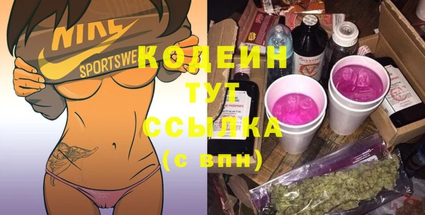 соль ск Каменногорск