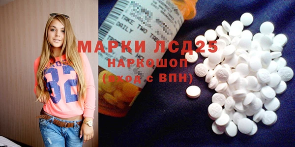 спайс Каменка