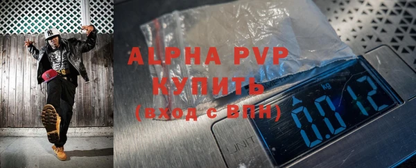 гашик Иннополис