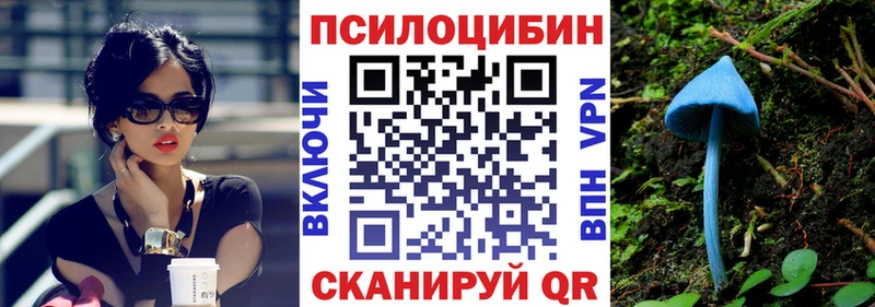 Псилоцибиновые грибы мицелий  Купить где  Волчанск 